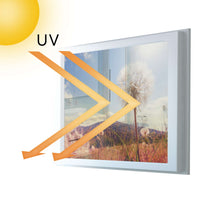 Fensterfolie [quer] - Dandelion - 100x70 cm - UV-resistent pds1