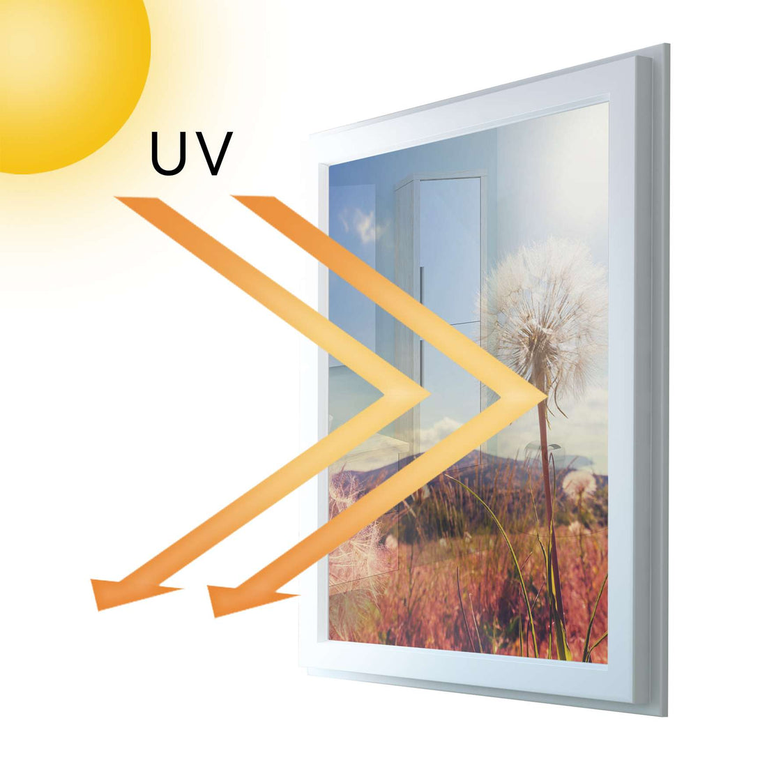 Fensterfolie [hoch] - Dandelion - 70x100 cm - UV-resistent pds1