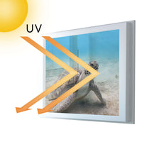 Fensterfolie [quer] - Green Sea Turtle - 100x70 cm - UV-resistent pds1