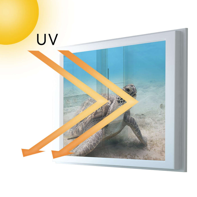 Fensterfolie [quer] - Green Sea Turtle - 100x70 cm - UV-resistent pds1