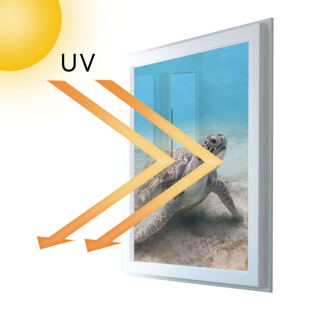 Fensterfolie [hoch] - Green Sea Turtle - 70x100 cm - UV-resistent pds1