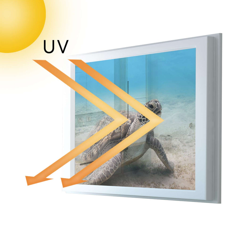 Fensterfolie [quer] - Green Sea Turtle - 100x70 cm - UV-resistent pds1