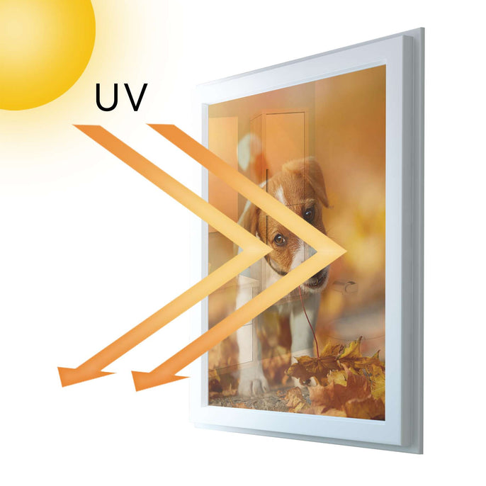 Fensterfolie [hoch] - Jack the Puppy - 70x100 cm - UV-resistent pds1