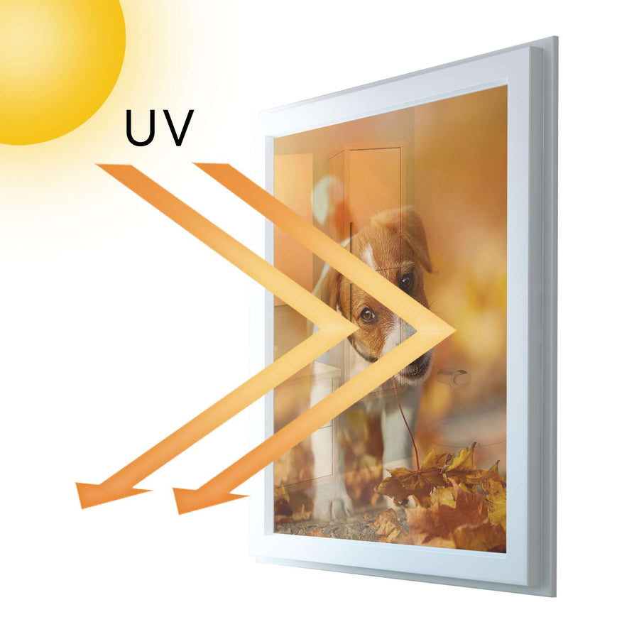 Fensterfolie [hoch] - Jack the Puppy - 70x100 cm - UV-resistent pds1