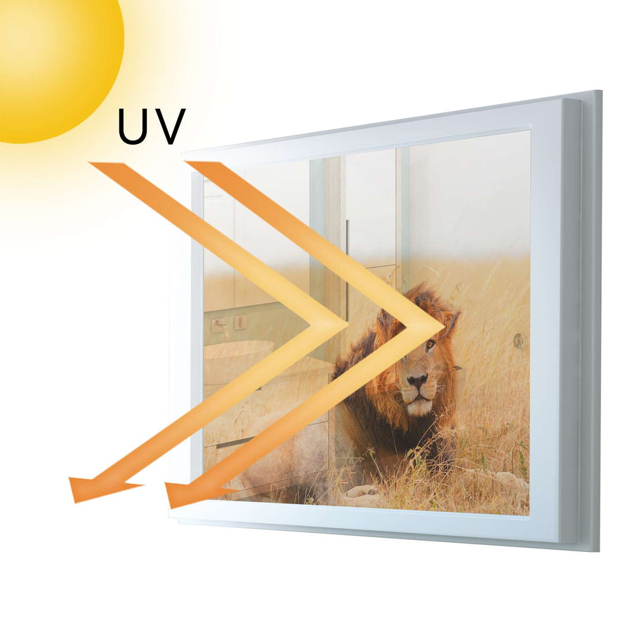 Fensterfolie [quer] - Lion King - 100x70 cm - UV-resistent pds1