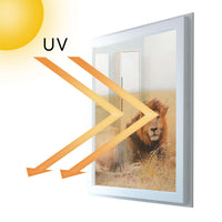 Fensterfolie [hoch] - Lion King - 70x100 cm - UV-resistent pds1