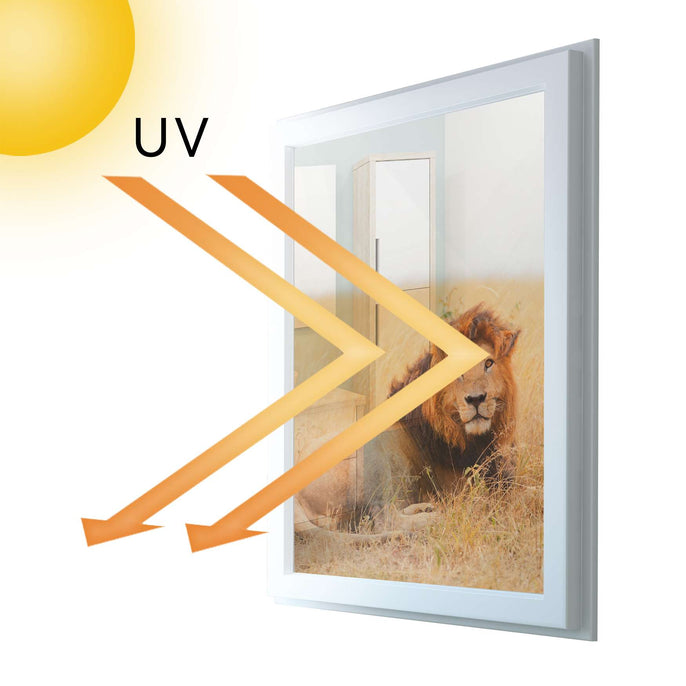 Fensterfolie [hoch] - Lion King - 70x100 cm - UV-resistent pds1