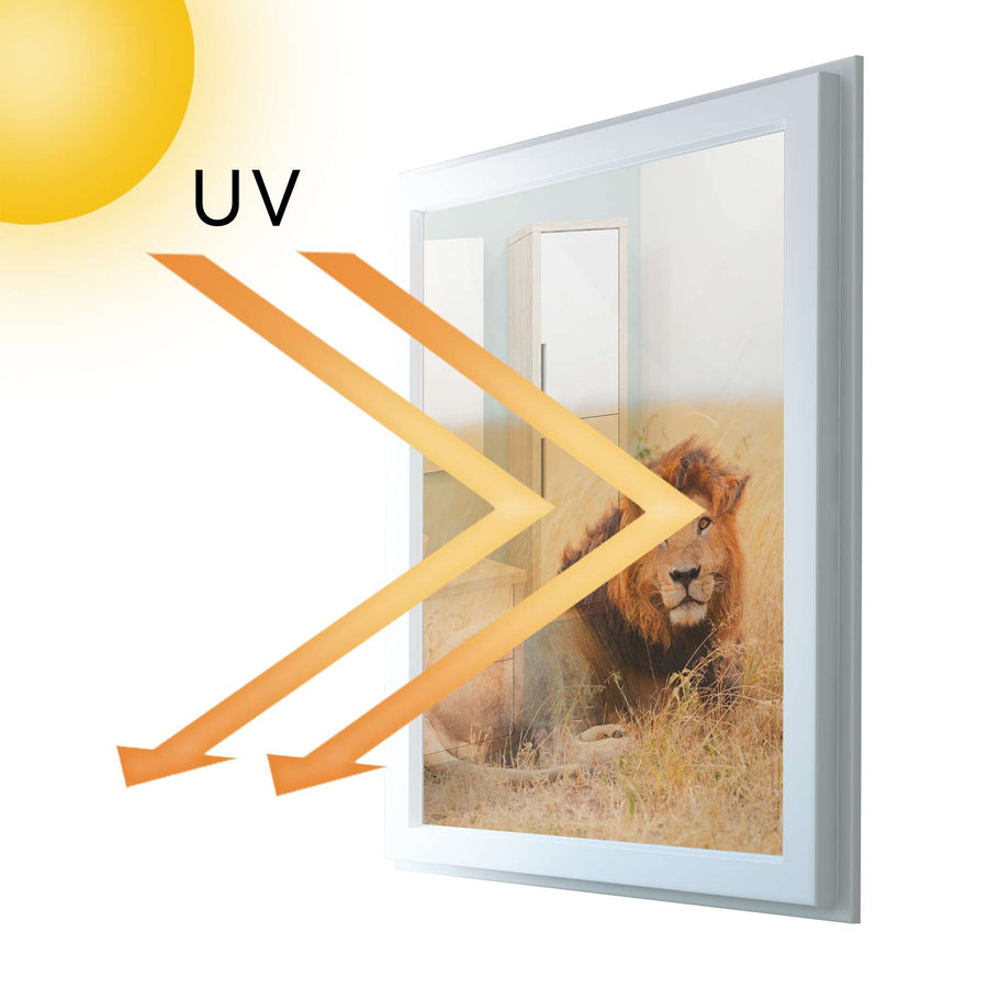 Fensterfolie [hoch] - Lion King - 70x100 cm - UV-resistent pds1