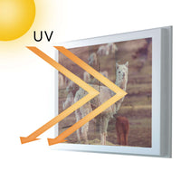 Fensterfolie [quer] - Pako - 100x70 cm - UV-resistent pds1
