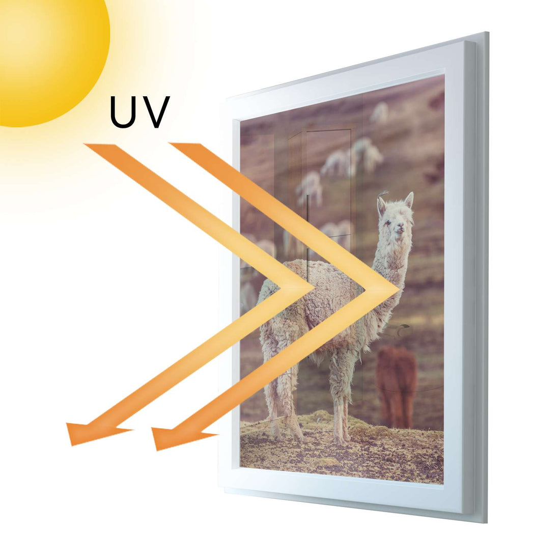 Fensterfolie [hoch] - Pako - 70x100 cm - UV-resistent pds1