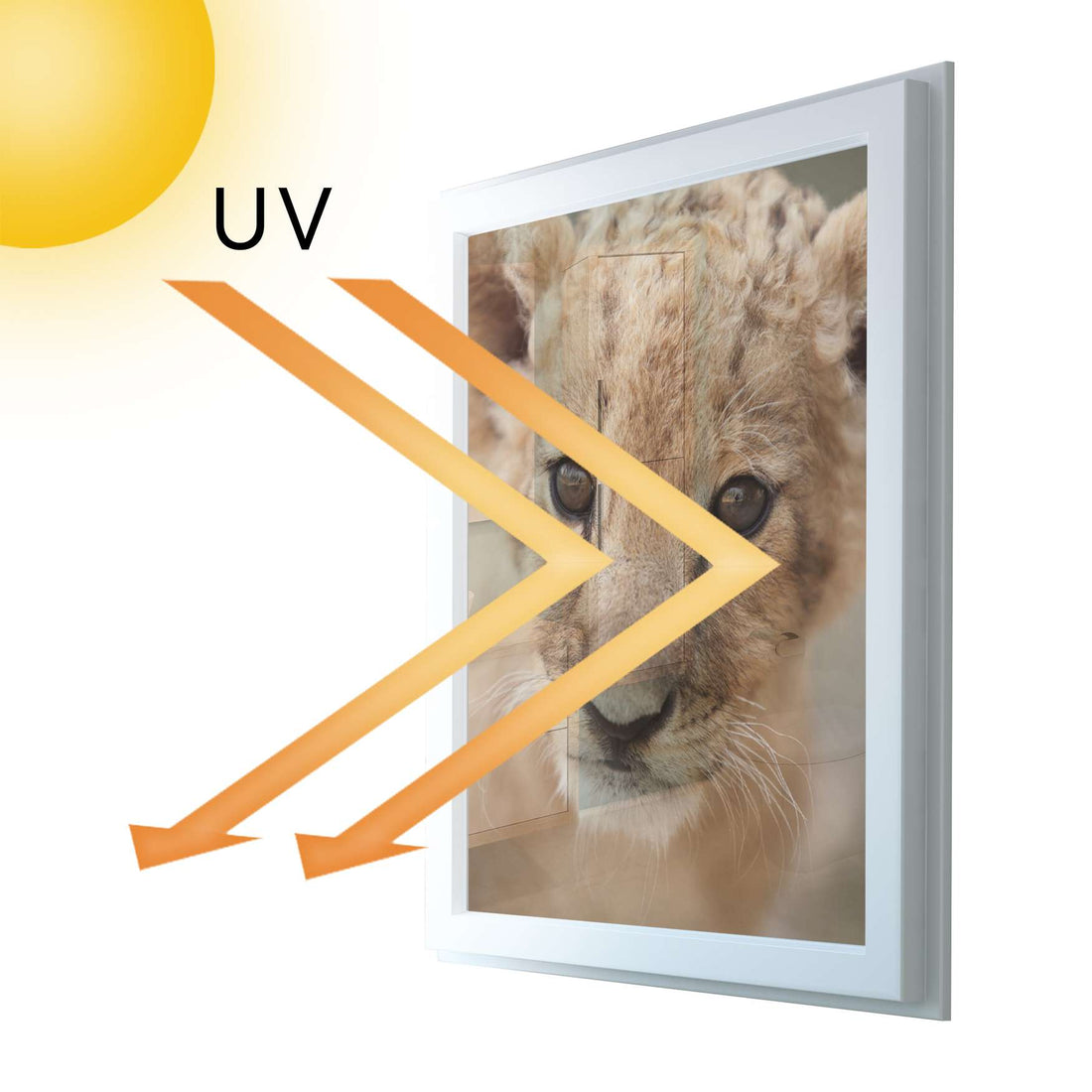 Fensterfolie [hoch] - Simba - 70x100 cm - UV-resistent pds1