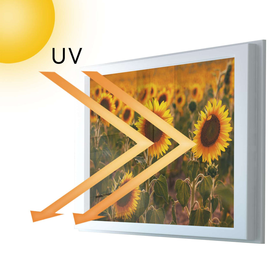 Fensterfolie [quer] - Sunflowers - 100x70 cm - UV-resistent pds1