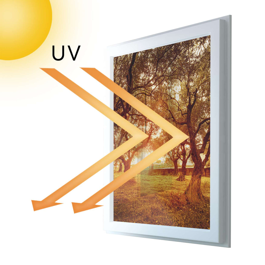 Fensterfolie [hoch] - Tree Sunlight - 70x100 cm - UV-resistent pds1