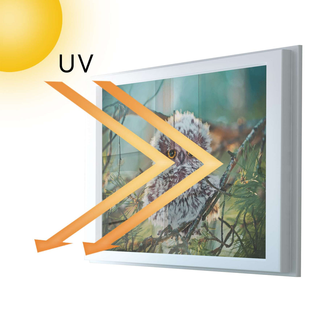 Fensterfolie [quer] - Wuschel - 100x70 cm - UV-resistent pds1