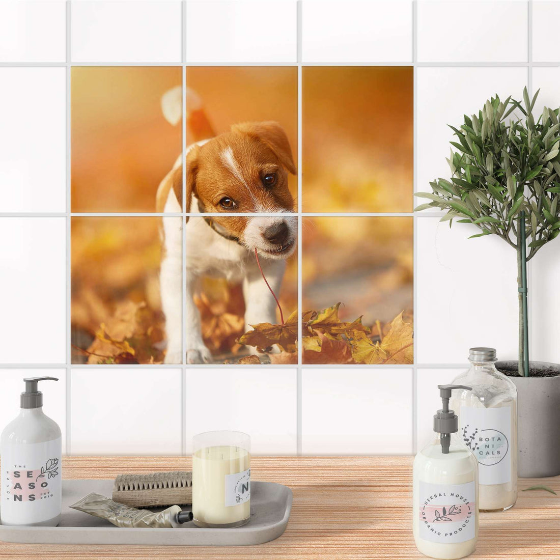 Fliesenaufkleber 15x20 cm Bad - Jack the Puppy