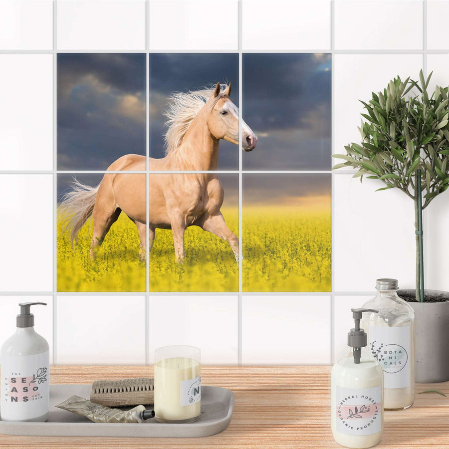 Fliesenaufkleber 15x20 cm Bad - Wildpferd