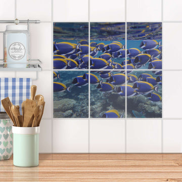 Fliesenaufkleber 15x20 cm Küche - Fish swarm