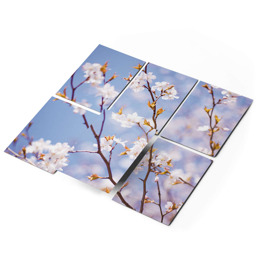 Fliesenaufkleber 15x20 cm Selbstklebend - Apple Blossoms