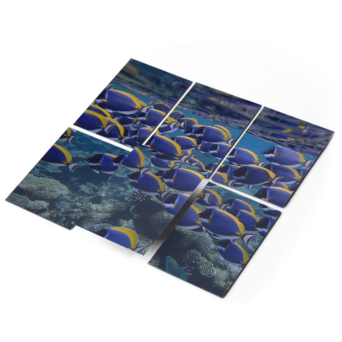 Fliesenaufkleber 15x20 cm Selbstklebend - Fish swarm