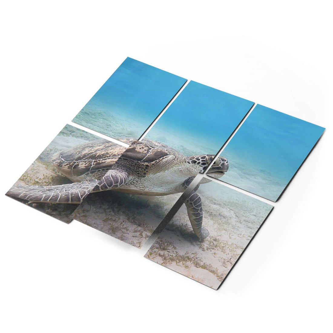 Fliesenaufkleber 15x20 cm Selbstklebend - Green Sea Turtle