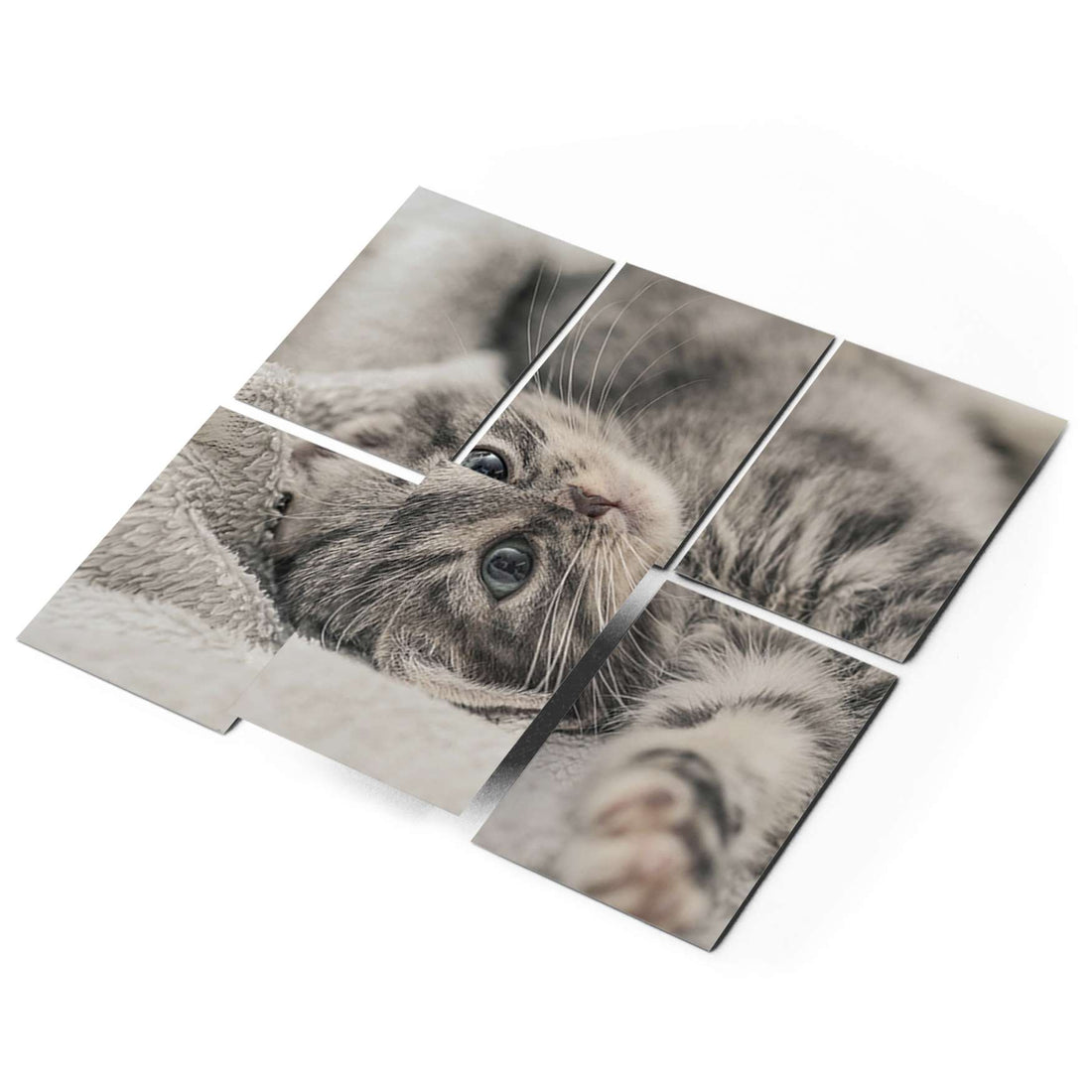 Fliesenaufkleber 15x20 cm Selbstklebend - Kitty the Cat