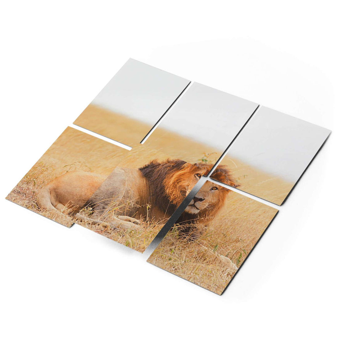 Fliesenaufkleber 15x20 cm Selbstklebend - Lion King