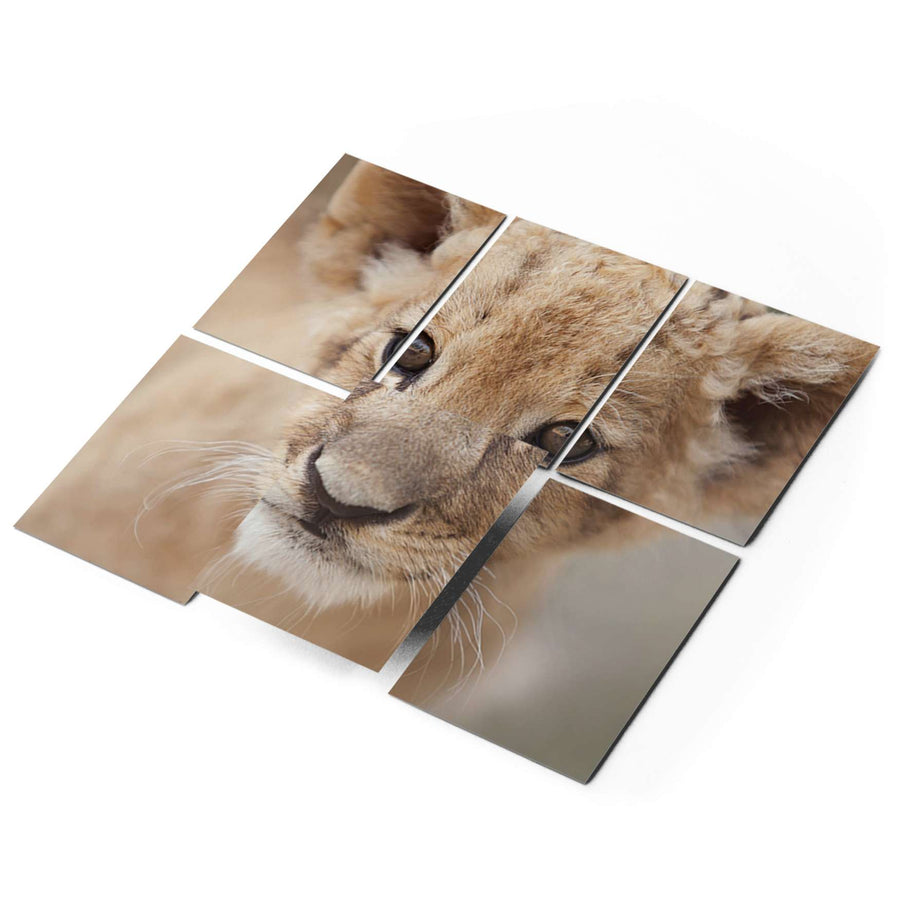 Fliesenaufkleber 15x20 cm Selbstklebend - Simba