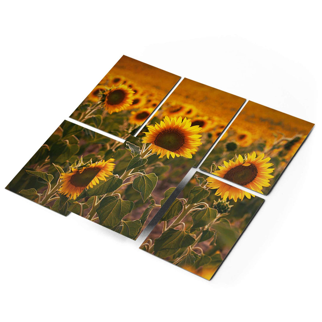 Fliesenaufkleber 15x20 cm Selbstklebend - Sunflowers