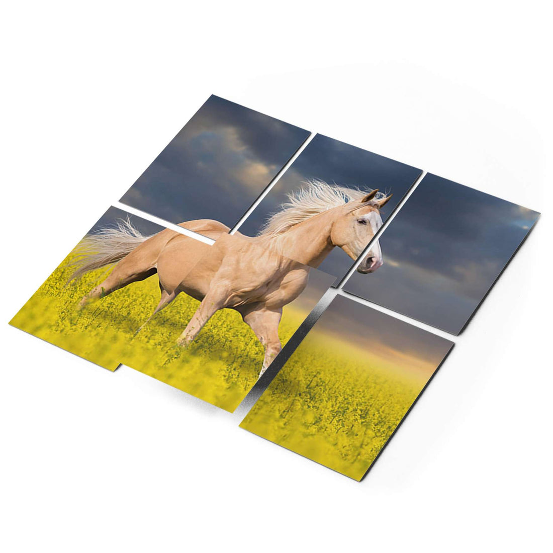 Fliesenaufkleber 15x20 cm Selbstklebend - Wildpferd