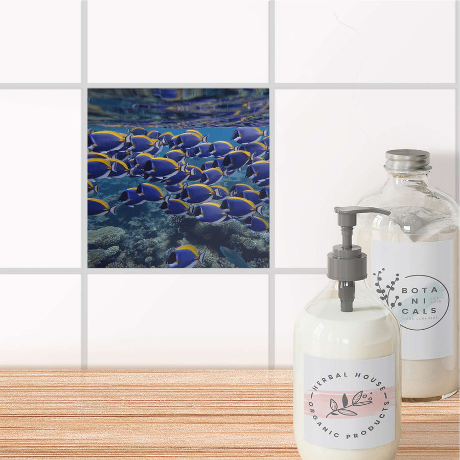Fliesenaufkleber Bad - Fish swarm