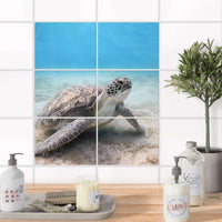 Fliesenfolie 20x15 cm Bad - Green Sea Turtle