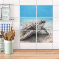 Fliesenfolie 20x15 cm Küche - Green Sea Turtle