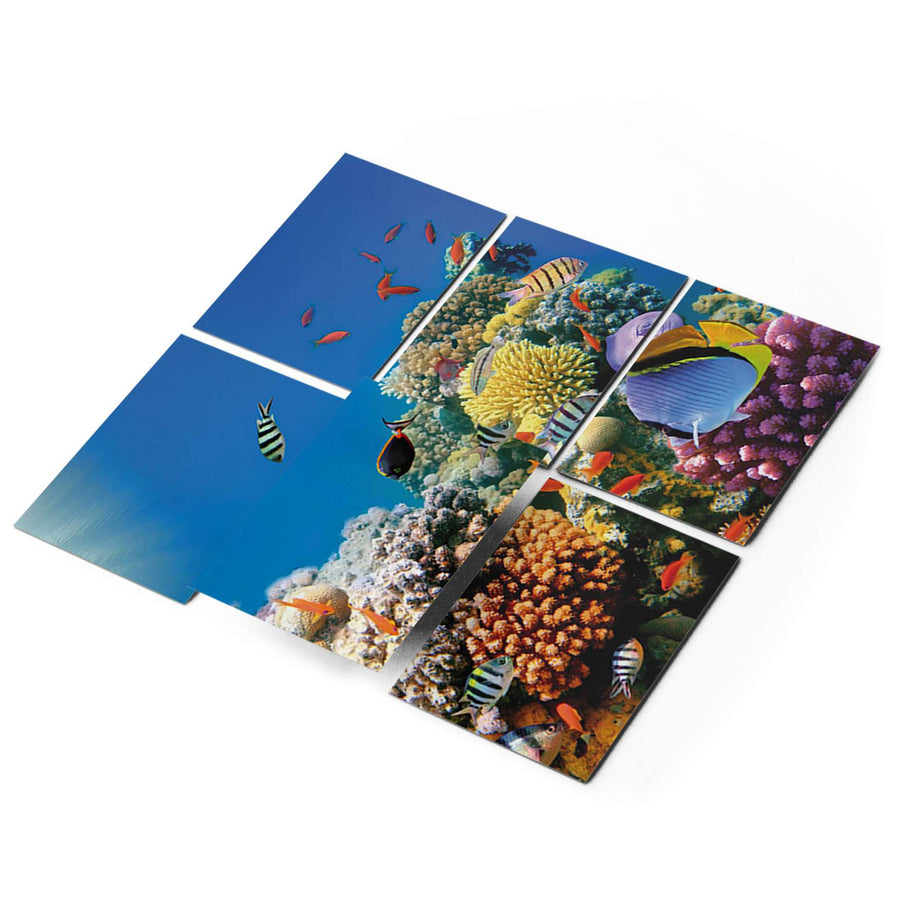 Fliesenfolie 20x15 cm Selbstklebend - Coral Reef