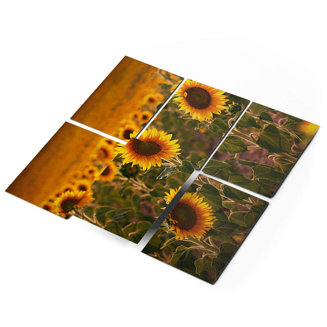 Fliesenfolie 20x15 cm Selbstklebend - Sunflowers