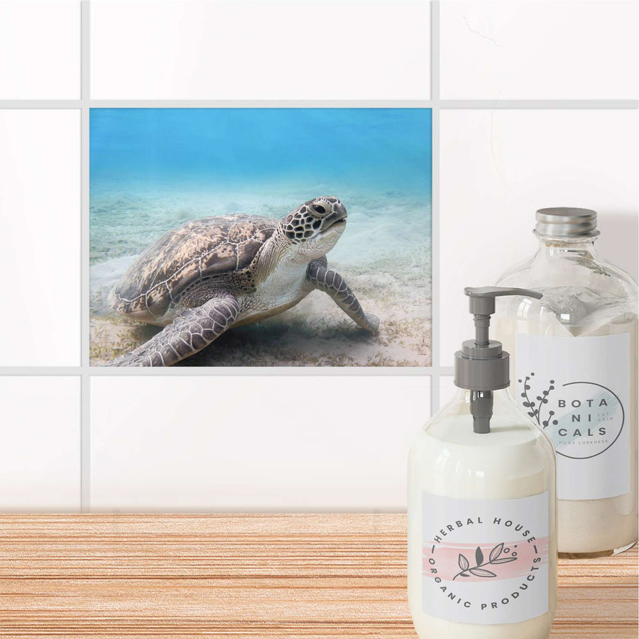 Fliesenfolie Bad - Green Sea Turtle