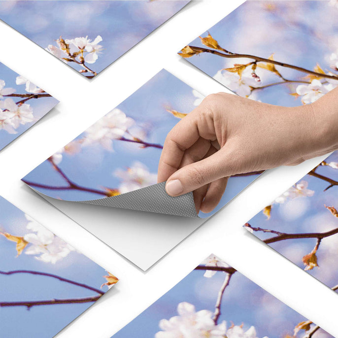 Fliesenfolie - Apple Blossoms - Do-it-yourself - creatisto pds1