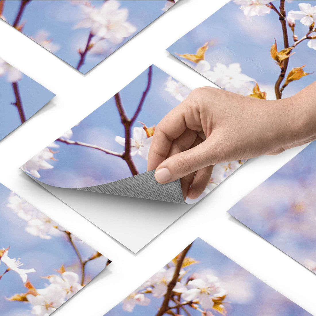 Fliesenfolie - Apple Blossoms - Do-it-yourself - creatisto pds1