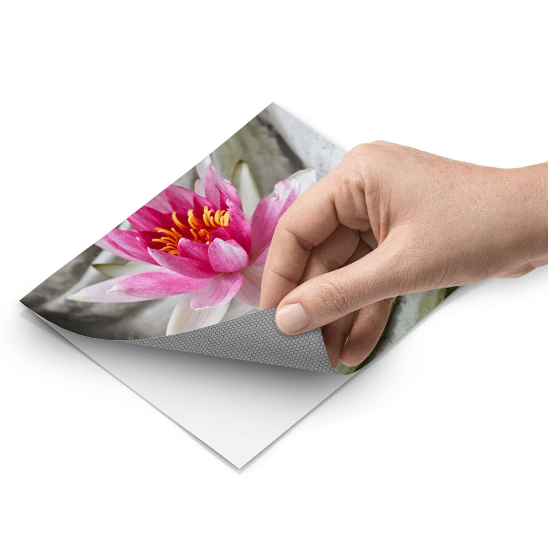Fliesenfolie - Flower Buddha - Do-it-yourself - creatisto pds1