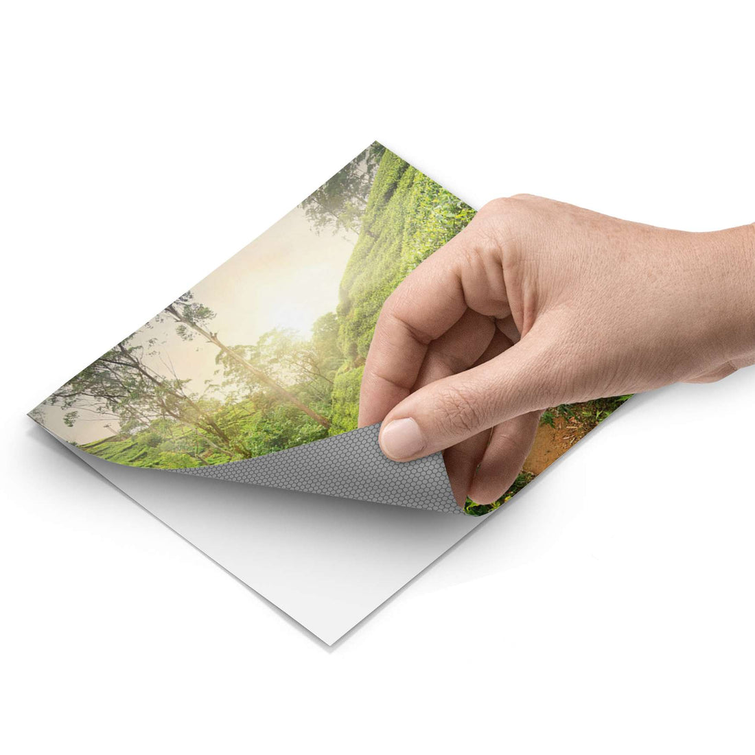 Fliesenfolie - Green Tea Fields - Do-it-yourself - creatisto pds1