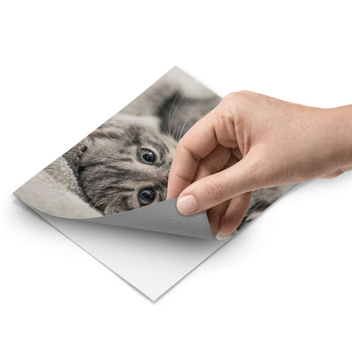 Fliesenfolie - Kitty the Cat - Do-it-yourself - creatisto pds1