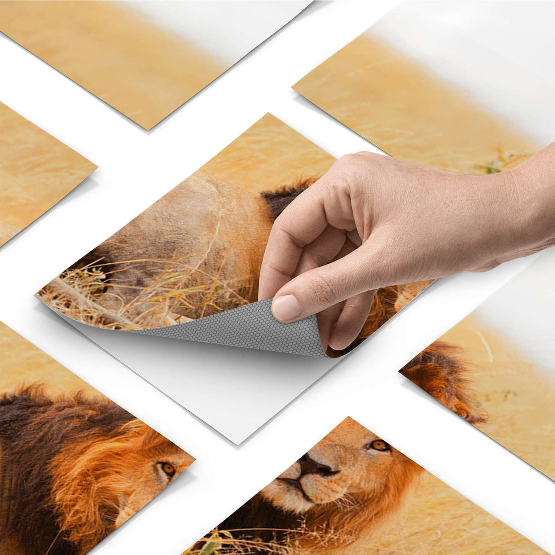 Fliesenfolie - Lion King - Do-it-yourself - creatisto pds1
