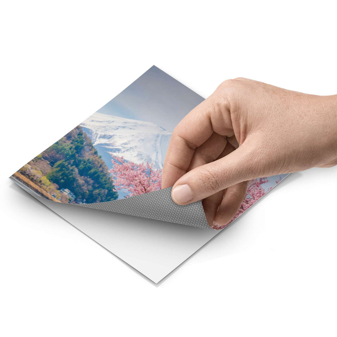 Fliesenfolie - Mount Fuji - Do-it-yourself - creatisto pds1