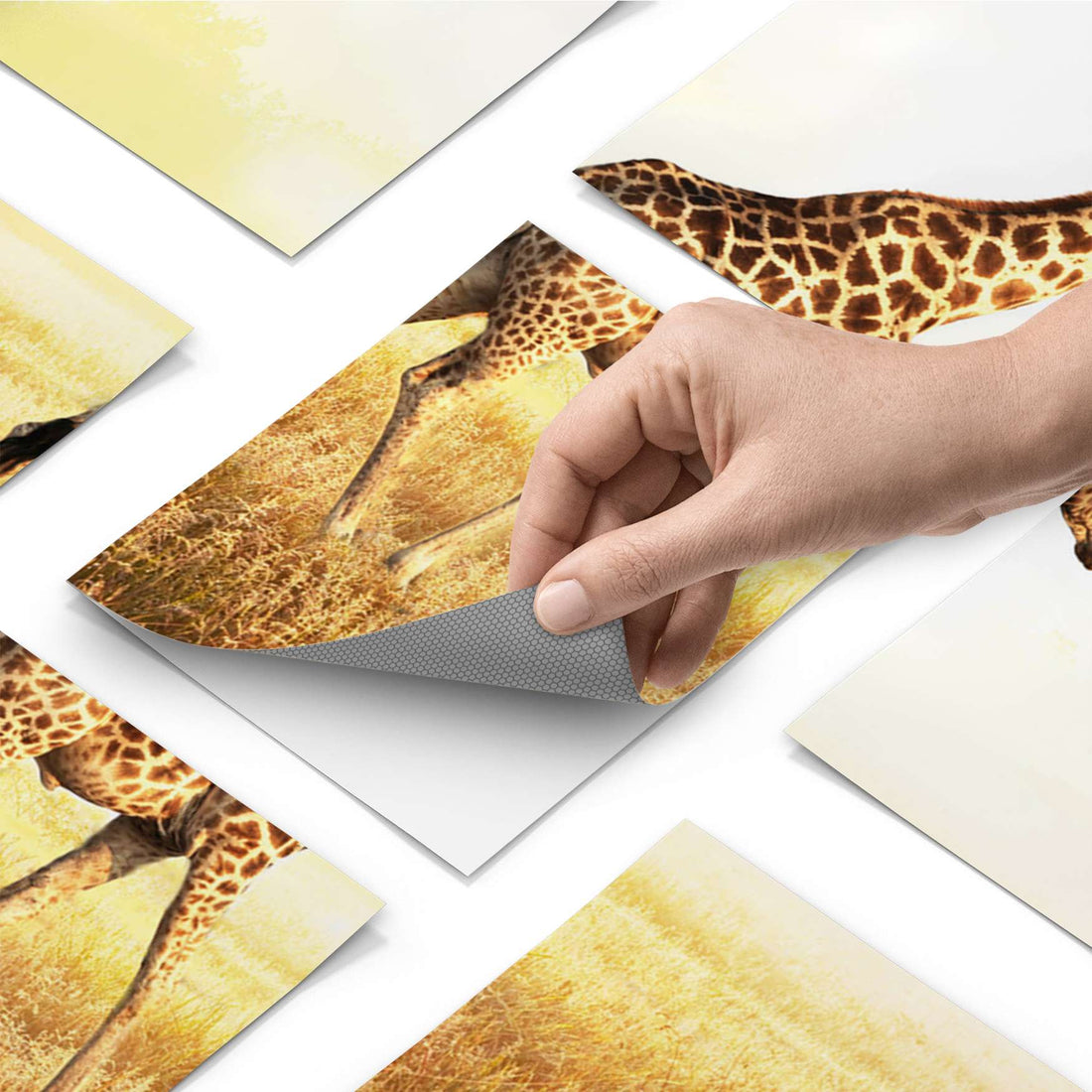 Fliesenfolie - Savanna Giraffe - Do-it-yourself - creatisto pds1