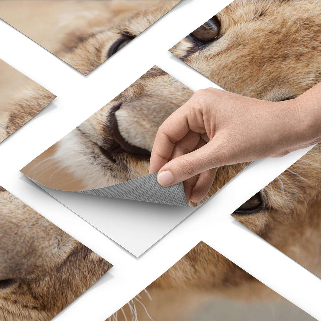 Fliesenfolie - Simba - Do-it-yourself - creatisto pds1
