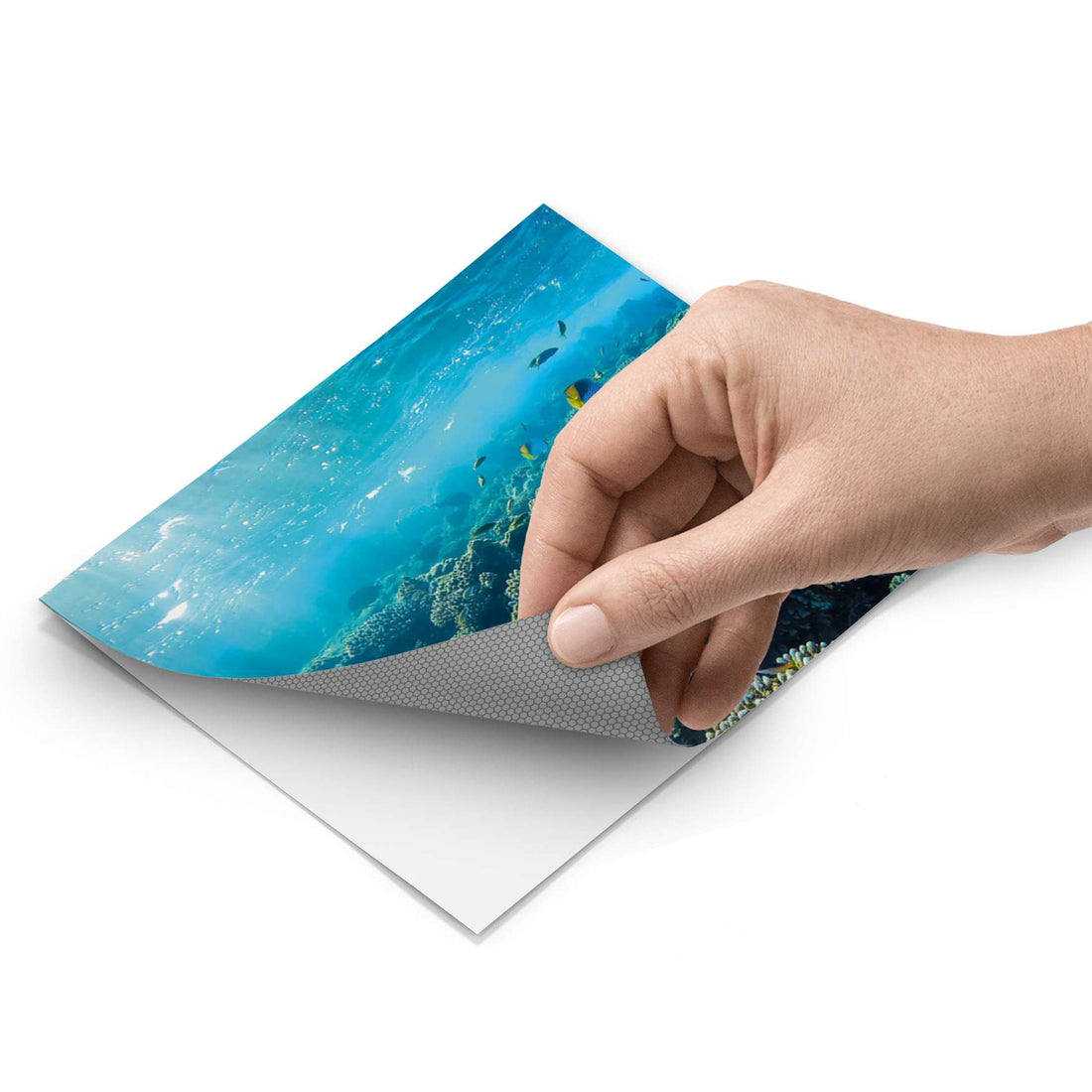 Fliesenfolie - Underwater World - Do-it-yourself - creatisto pds1
