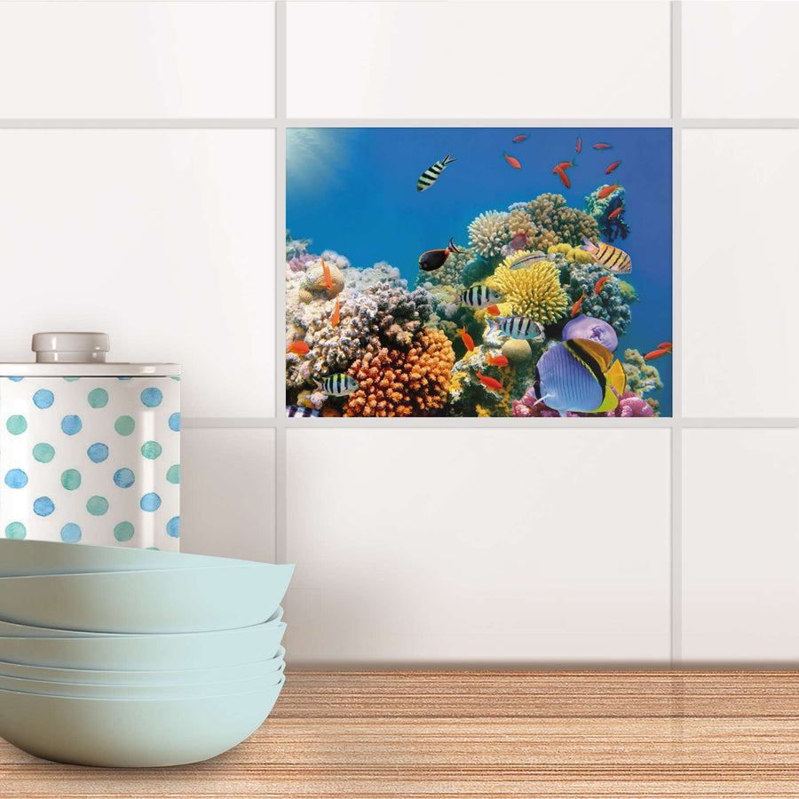 Fliesenfolie Küche - Coral Reef