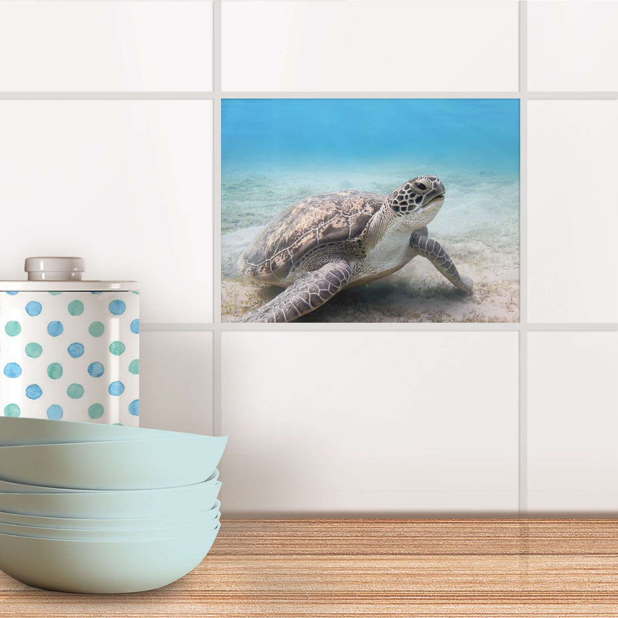 Fliesenfolie Küche - Green Sea Turtle