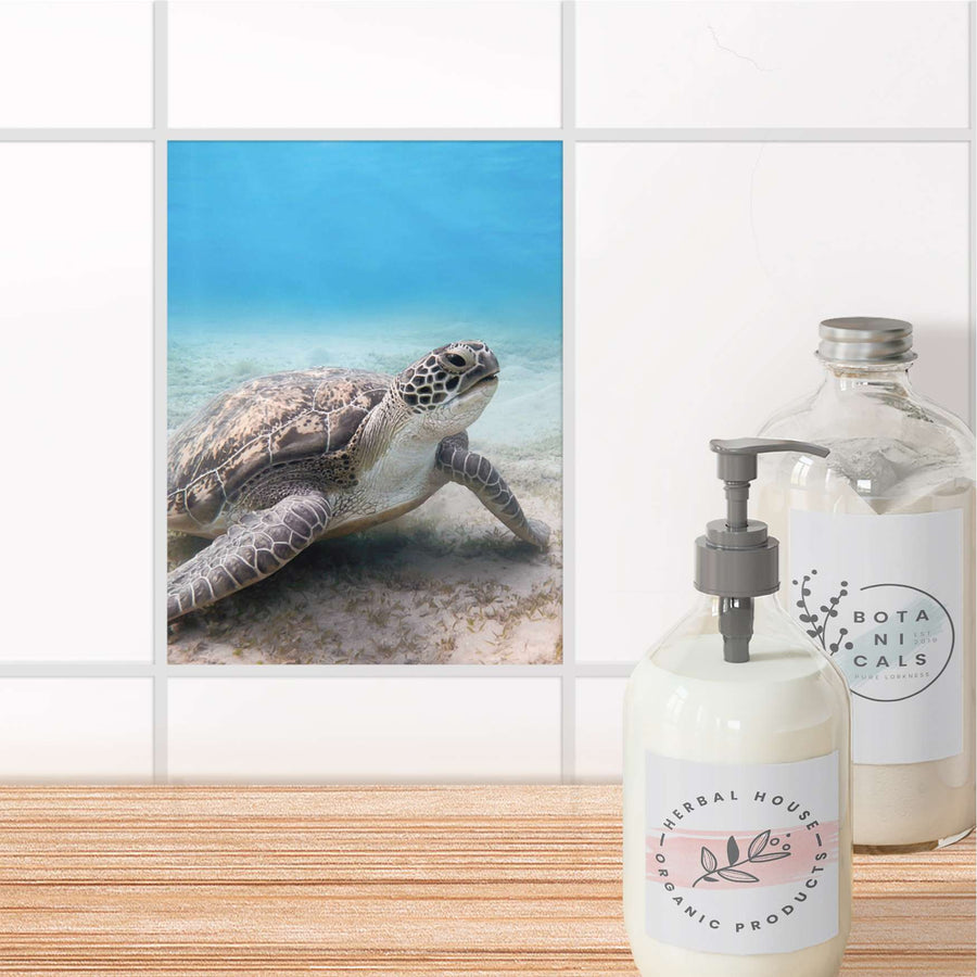 Fliesensticker Bad - Green Sea Turtle