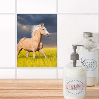 Fliesensticker Bad - Wildpferd