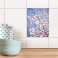 Fliesensticker Küche - Apple Blossoms